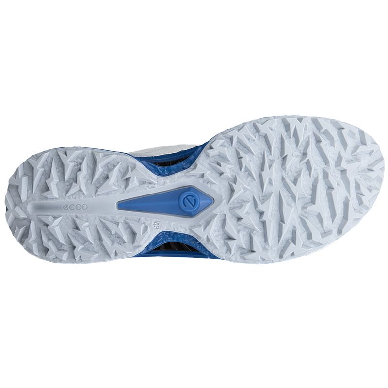 CHAUSSURE ECCO GOLF BIOM C5 BOA HOMME