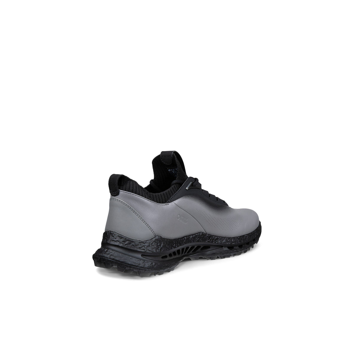 CHAUSSURE ECCO GOLF BIOM C5 HOMME