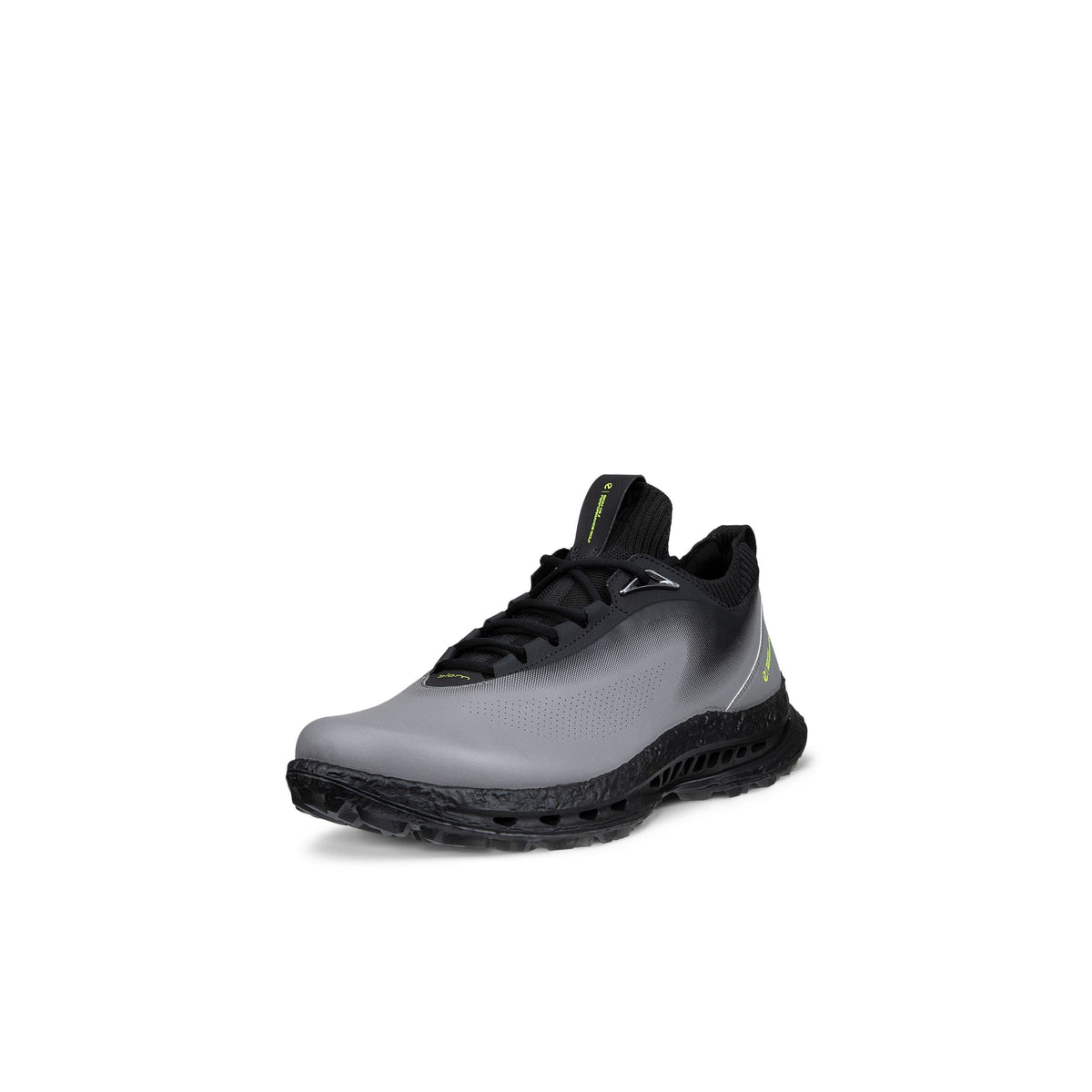 CHAUSSURE ECCO GOLF BIOM C5 HOMME