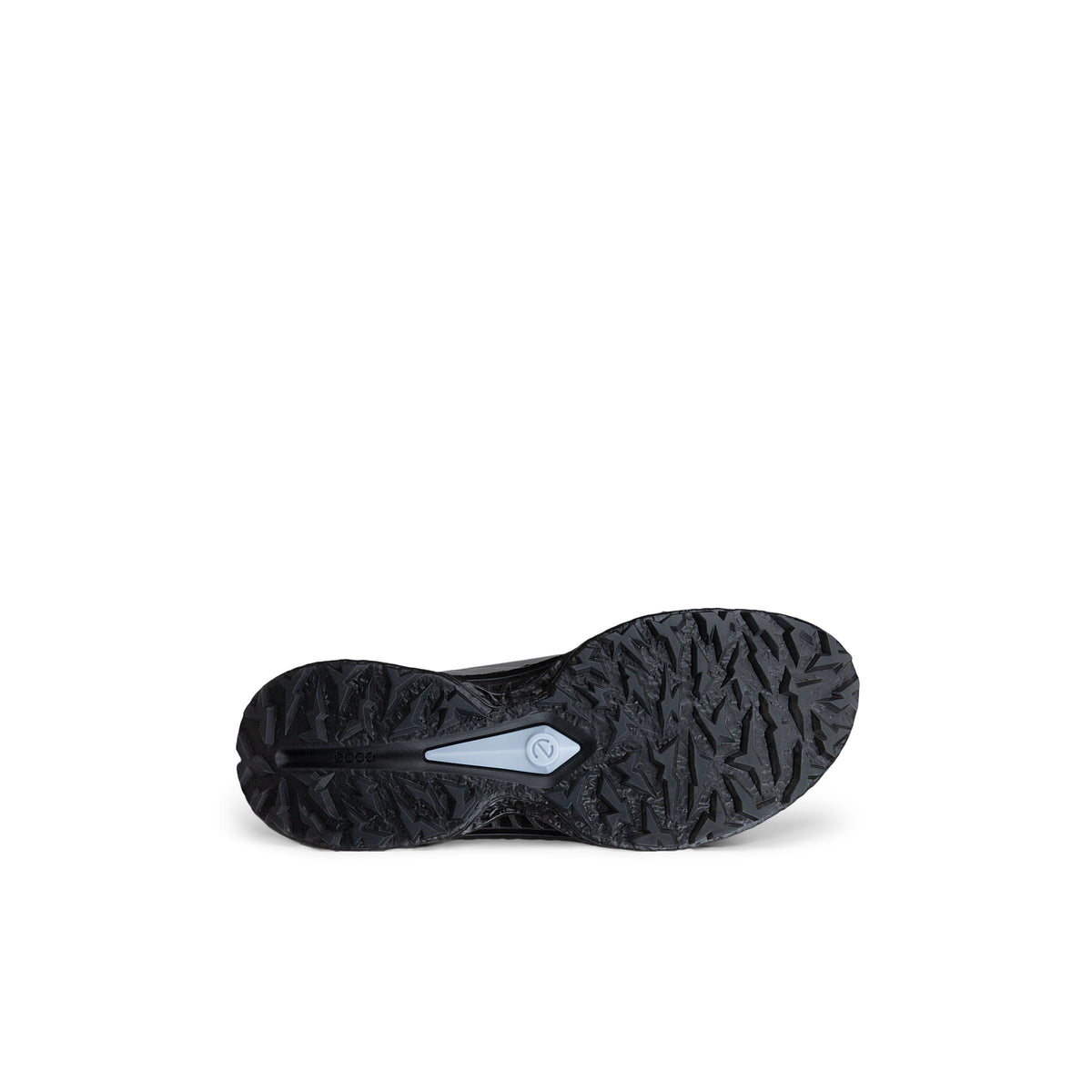 CHAUSSURE ECCO GOLF BIOM C5 HOMME