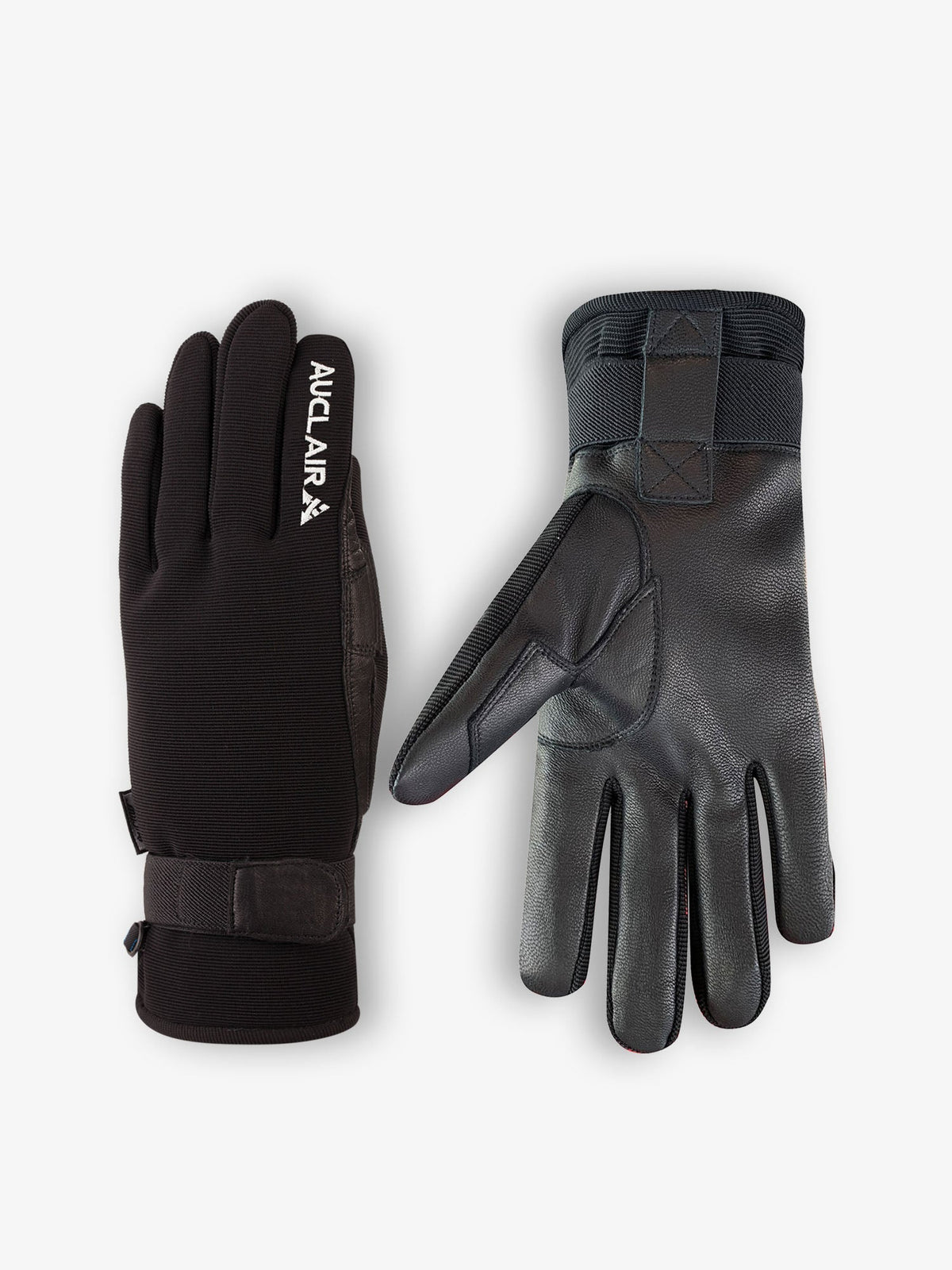 GANT SKATER AUCLAIR HOMME