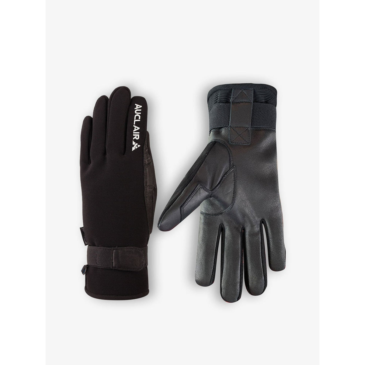 GANT SKATER AUCLAIR HOMME