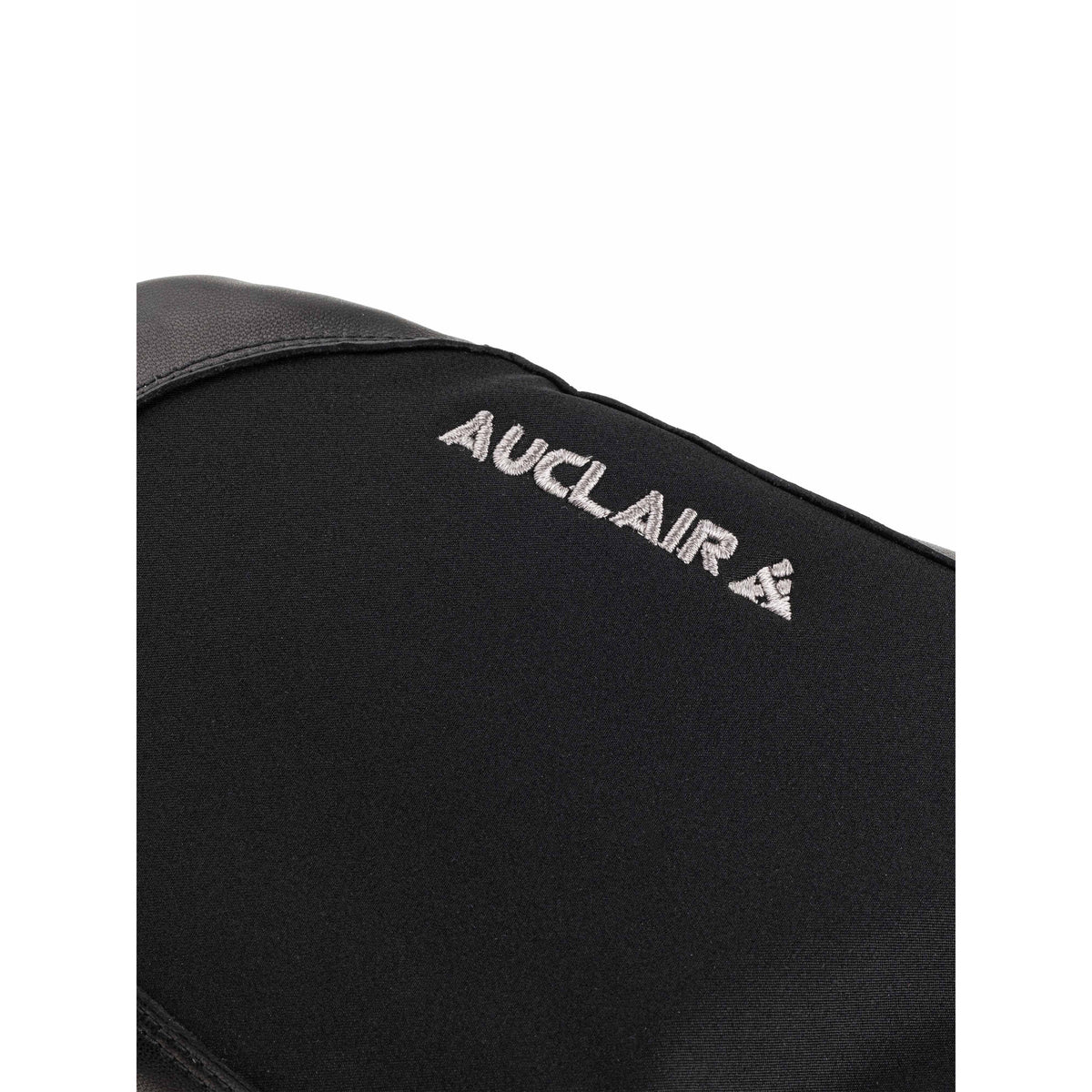 Auclair WWPB Gigatex Men's Mittens
