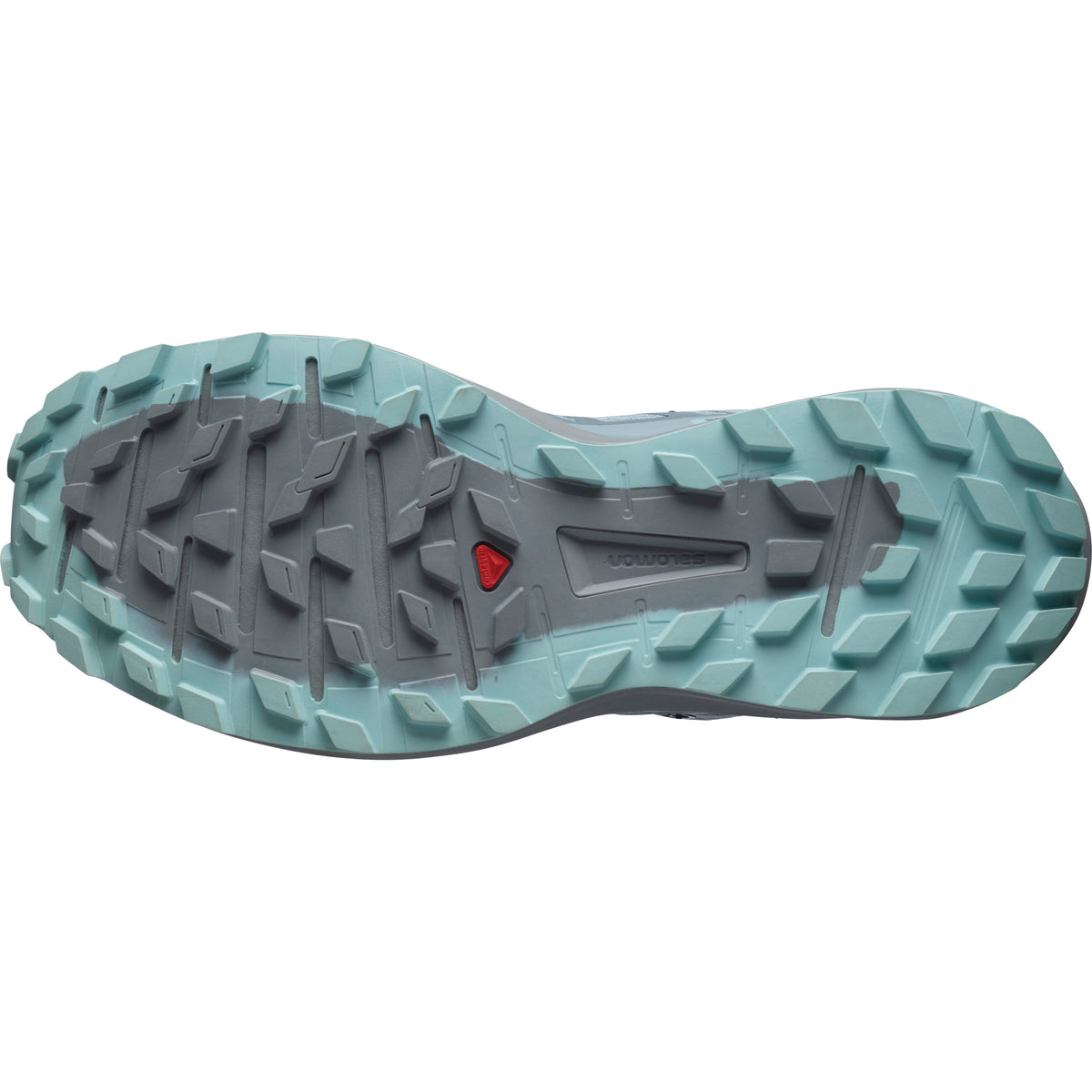 Salomon Sense Ride 4 GTX Women's Trail Running Shoe