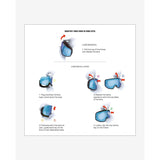 Salomon Sentry Pro OTG Lunettes de Cyclisme Élégantes