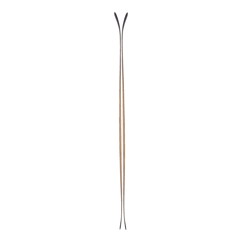 Ski Elan Ripstick 102 Black Edition Flat