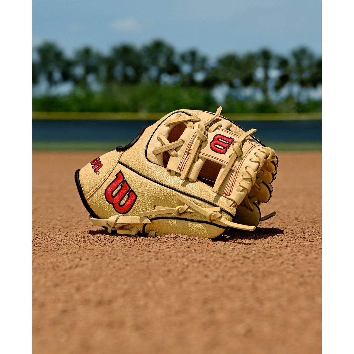 WILSON A1000 PF11 GLOVE W/PEDROIA FIT 11'' INFIELD