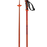 Salomon Arctic Alpine Ski Poles Lightweight and Stable Aluminum for Slopes